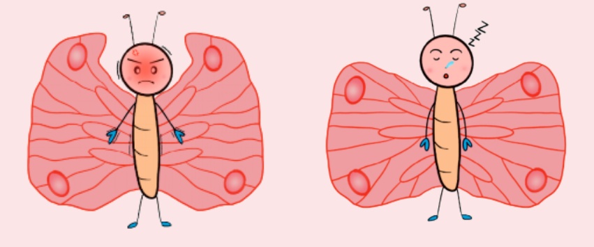 数字化转型图书《呵护你的甲状腺——变幻莫测的人体小蝴蝶》出版