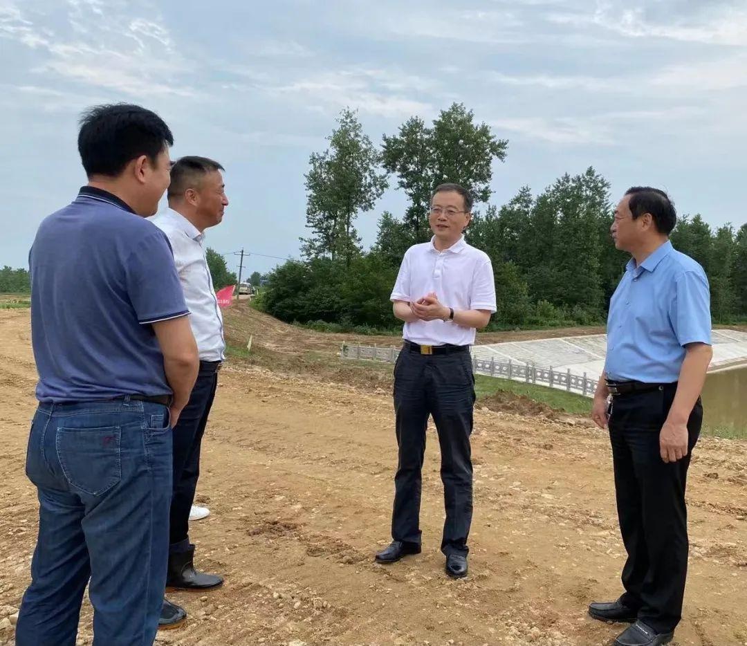 车照启赴裕安区督查防汛工作