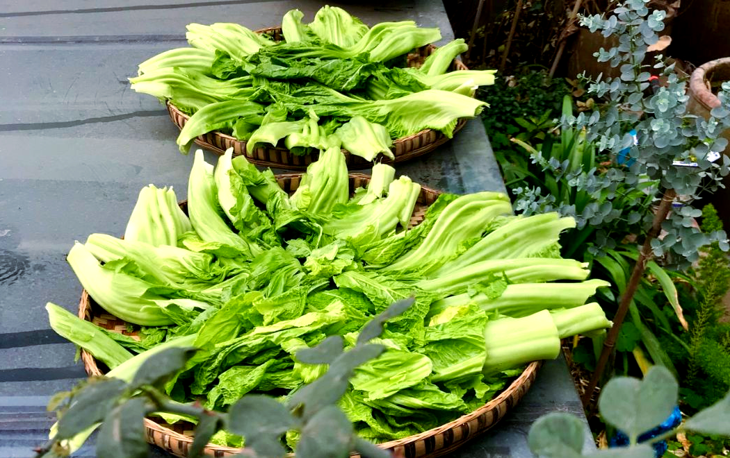 橄榄菜:配粥的完美搭档,潮汕闽南人的餐桌美食