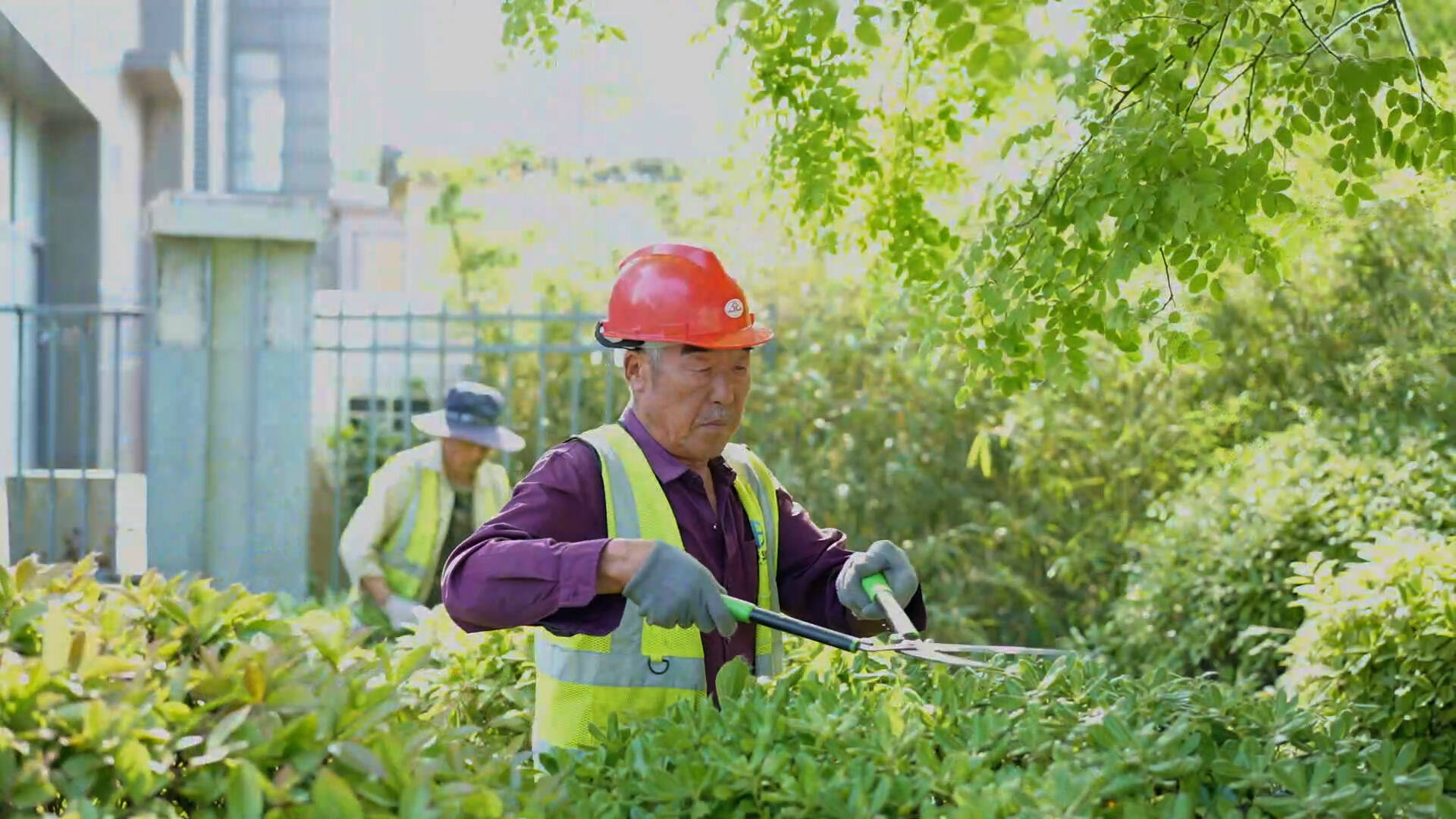 绿化工人服装图图片