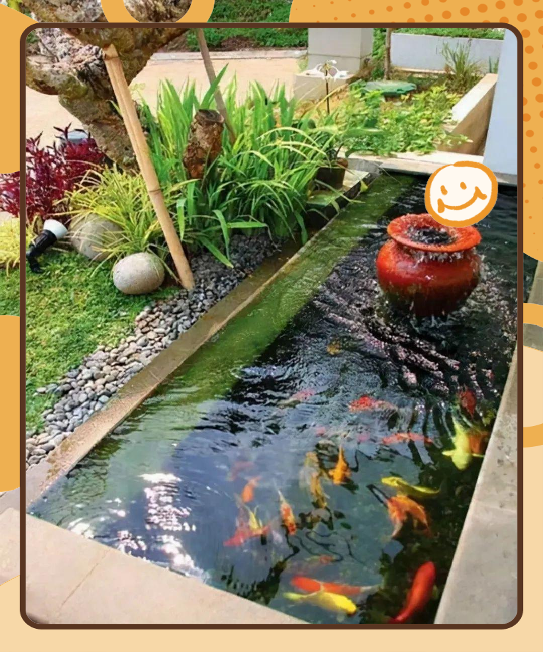 如何精心设计庭院鱼池?