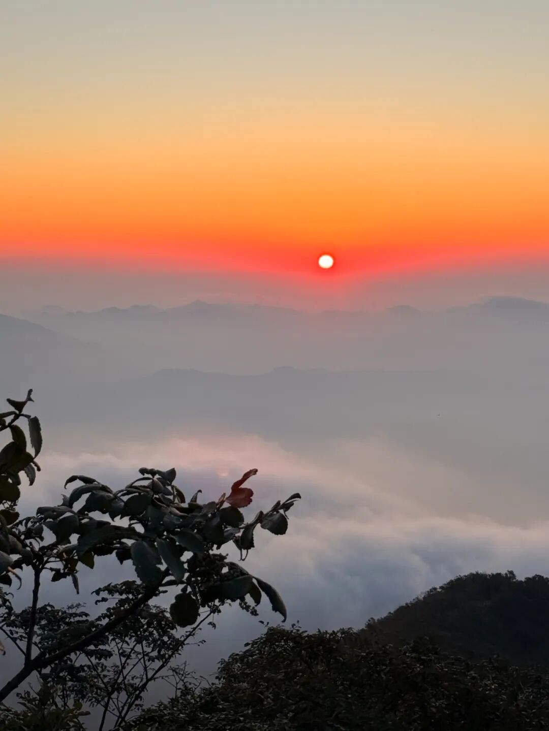 凌晨3点杭州此地全是人有人半夜从上海江苏赶来有老板被迫4点营业