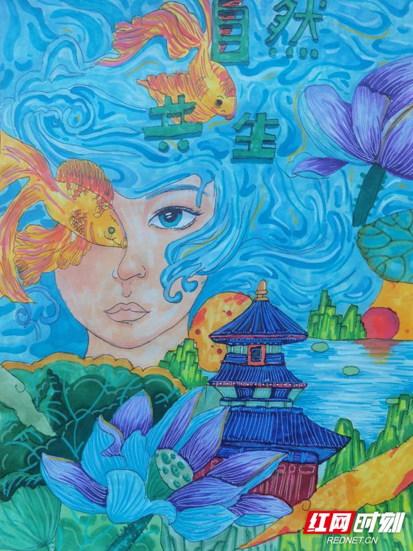 张家界:世界地球日自然科普画接力赛获奖作品选登(部分)