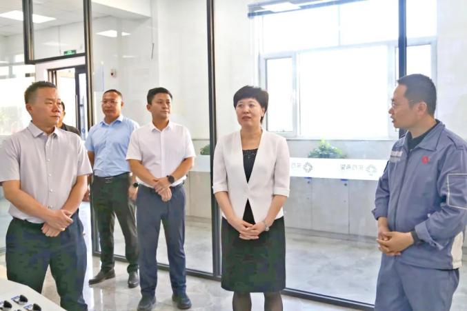 崔景英到海南区调研园区建设及重点企业生产运行情况