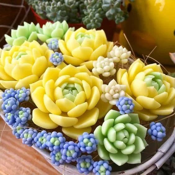 《攻略表哥后我被太子叼走了》《嗣兄》《心痒痒》