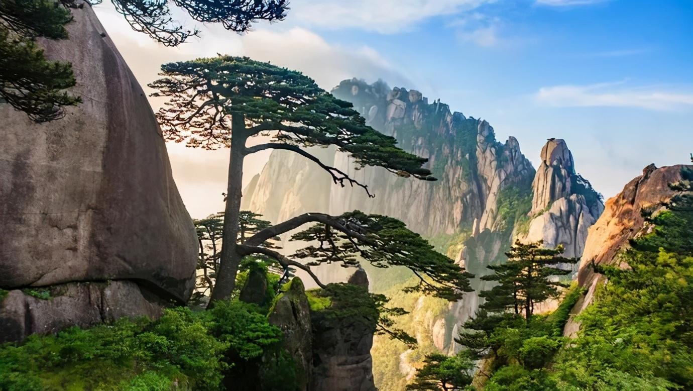 世界唯一专人守护的黄山迎客松,到底是真的吗?