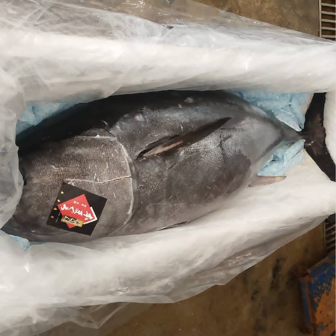 男子捕获3米巨鱼,大方请全村人吃,得知价值后懊悔不已