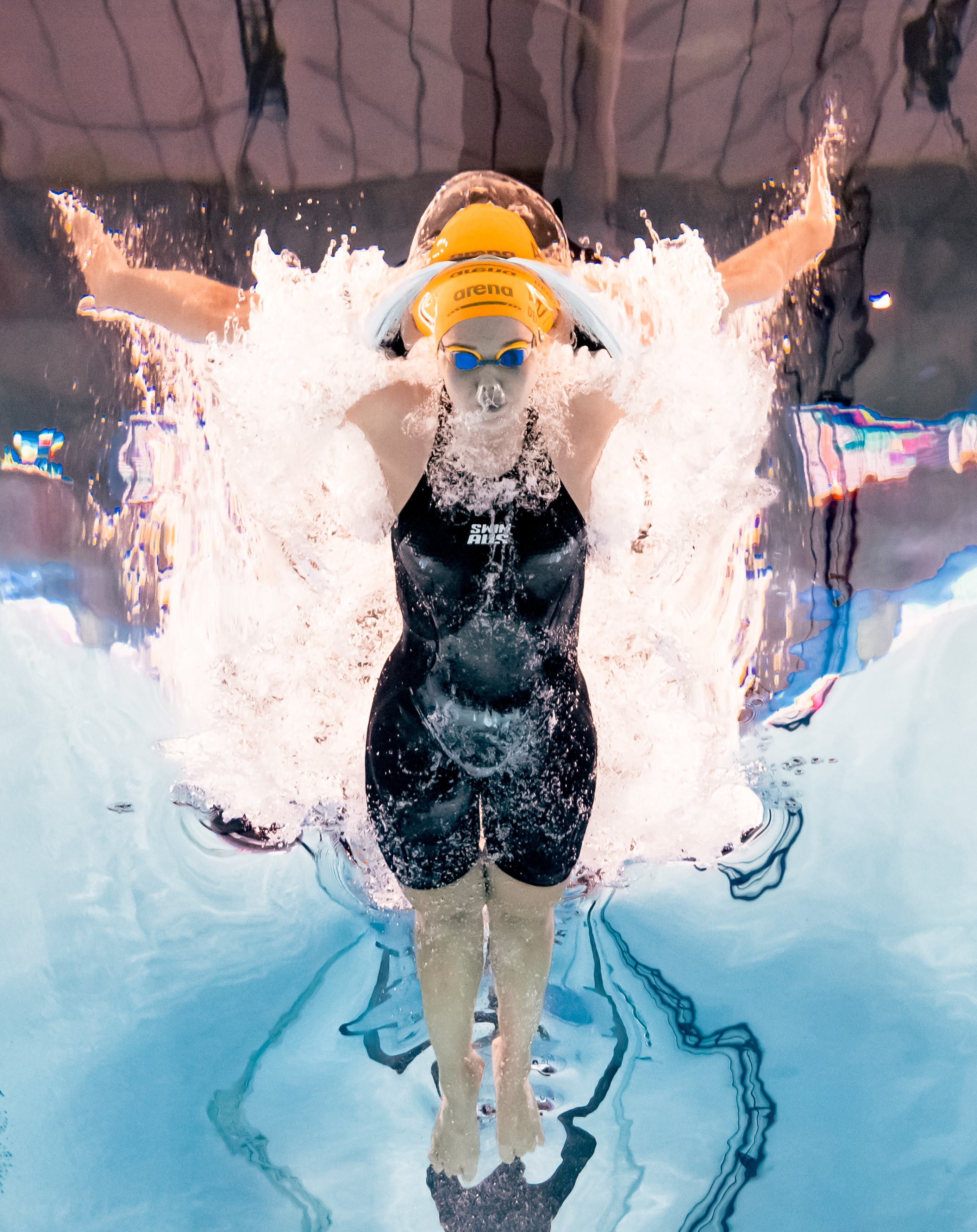 (游泳世锦赛)游泳