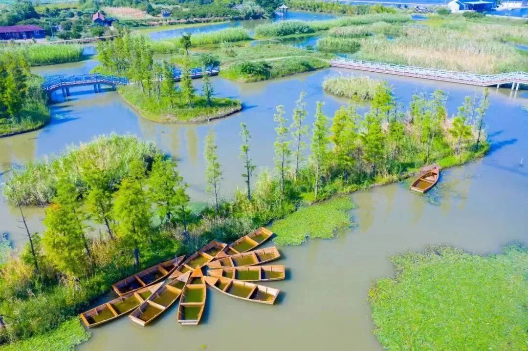 "导游",停车场,厕所……金山这个郊野公园更完善的背后,有