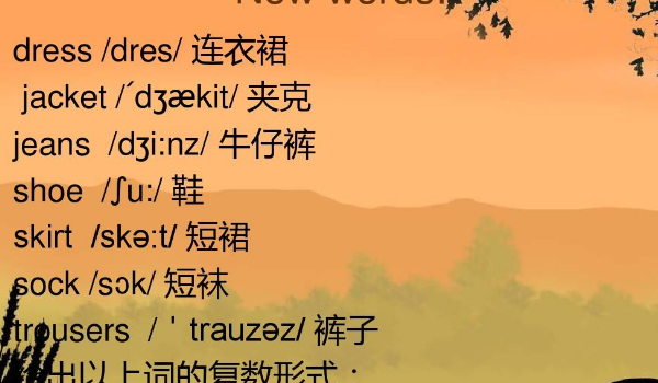 dress的复数形式