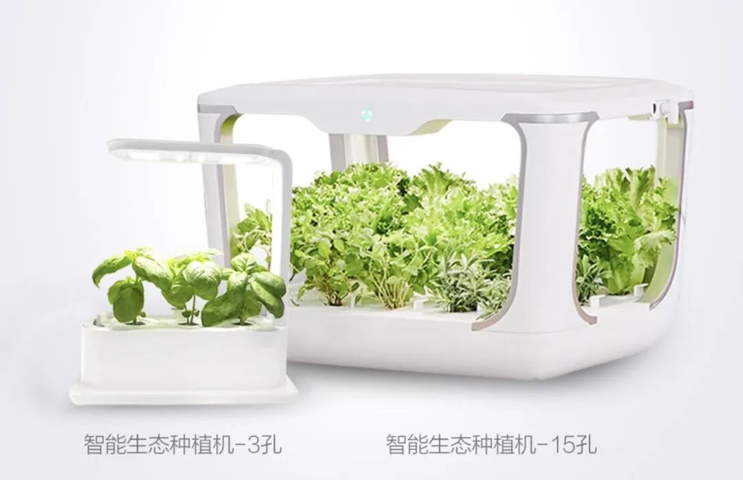 疫情封城买菜难,雷军悄然布局家庭种菜机的逻辑是啥?