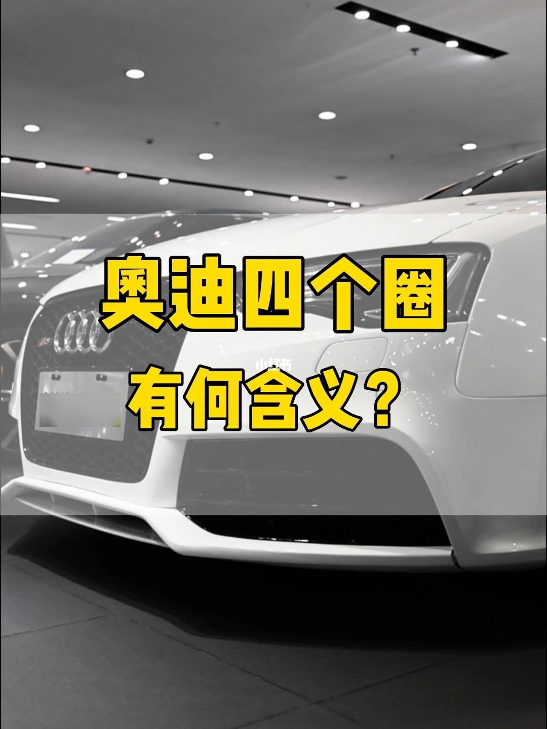 奥迪的标志由四个圆环构成每个圆环都承载着一家具有深远历史背景的