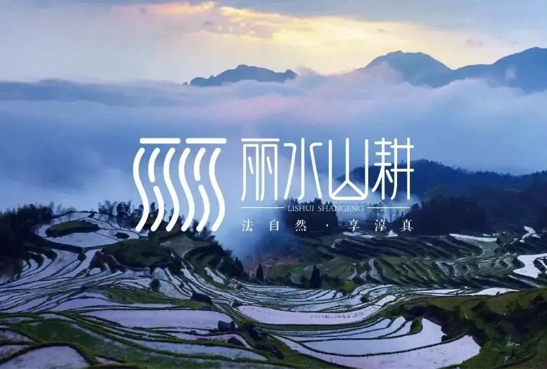 非凡十年 丽水巨变 | 丽水山耕:培育"三个样板" 绘就三农共富场景