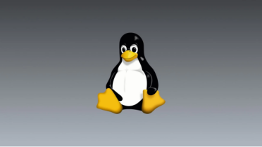 Linux创始人怒喷AI工具滥用：海量重复Bug报告涌入 严重破坏Linux内核开发