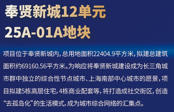 奉贤新城12单元25A图片