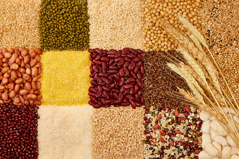 平时对全谷物食品有什么误解