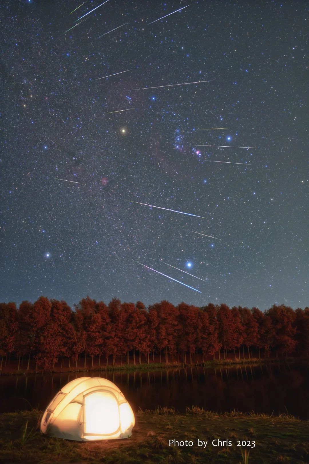 在崇明观赏双子座流星雨,绝美!