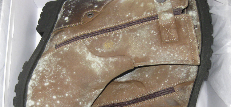 羽绒服发霉怎么洗掉霉斑