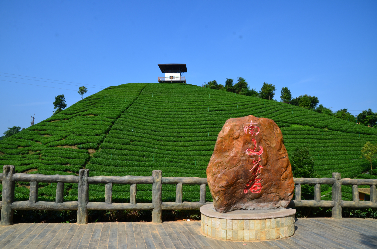 昭平县南山茶海景区简介