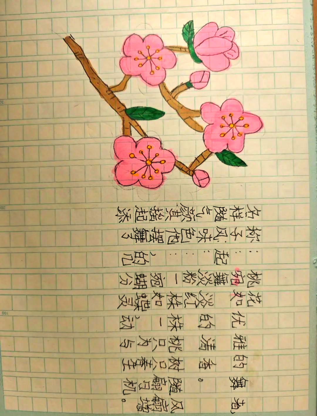 植物朋友做个记录卡怎么做(植物朋友做个记录卡怎么做的)