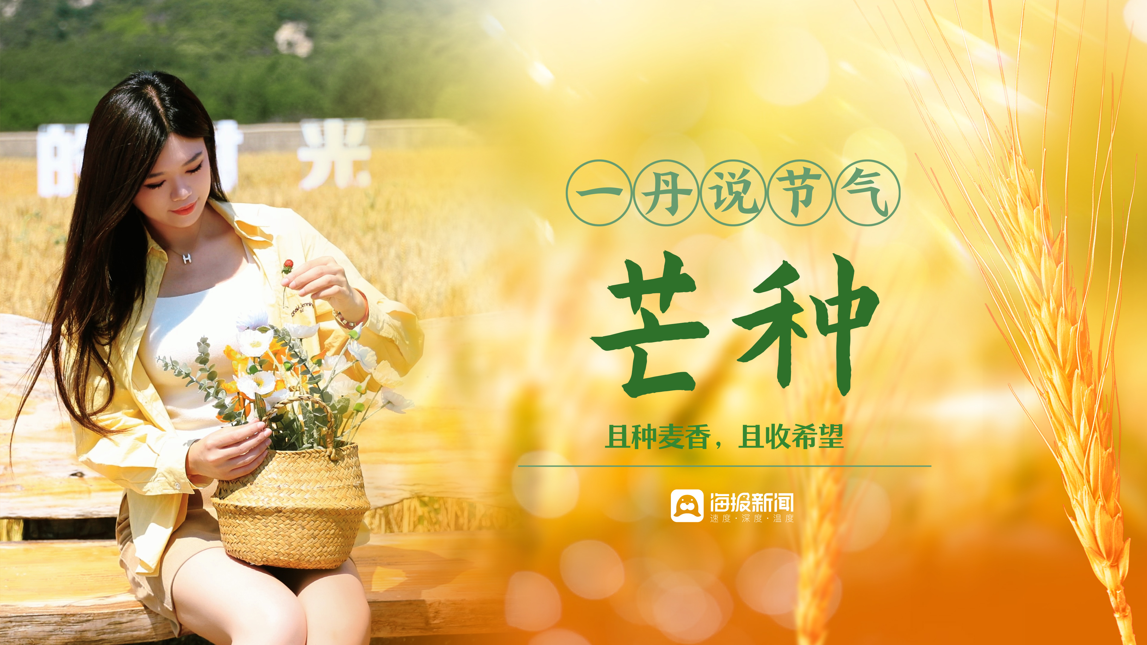 一丹说节气⑨芒种:且种麦香,且收希望