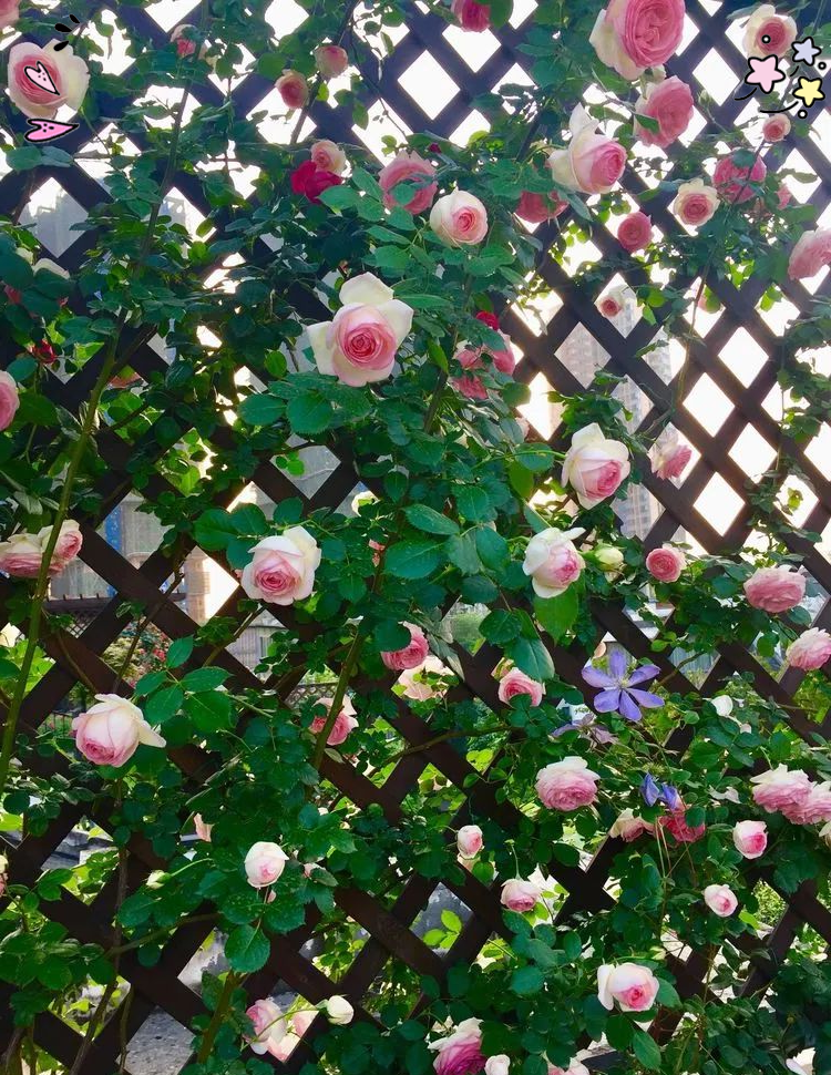 用手指搅拌面糊引发健康新争议，三秒动作竟暗藏细菌风险，专家提醒别忽视细节，四招教您安心制作美味料理