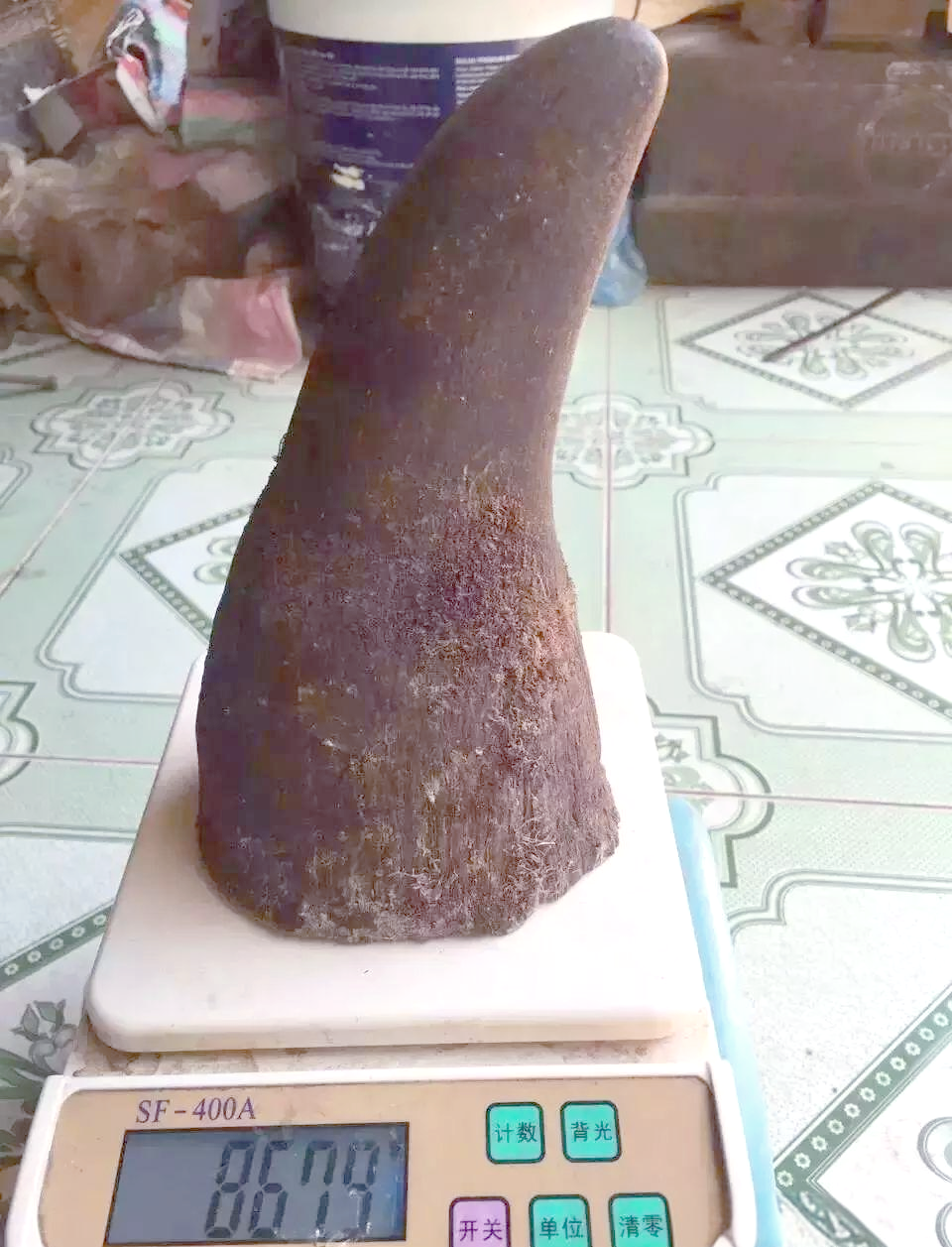 犀角,又称犀牛角,源于犀科动物,包括白犀牛,黑犀牛,印度犀牛,爪哇犀牛