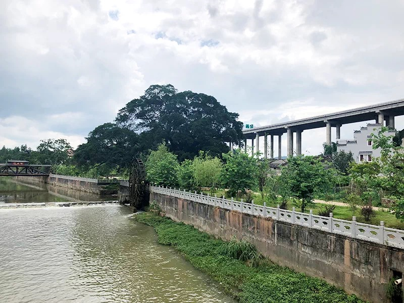 司前镇又一休闲步道建成,生态宜居美丽乡村成效初显