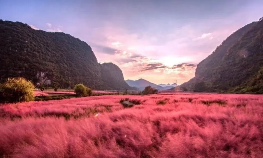 乡游黔中·长顺县永增村│粉黛花海现实中的乌托邦