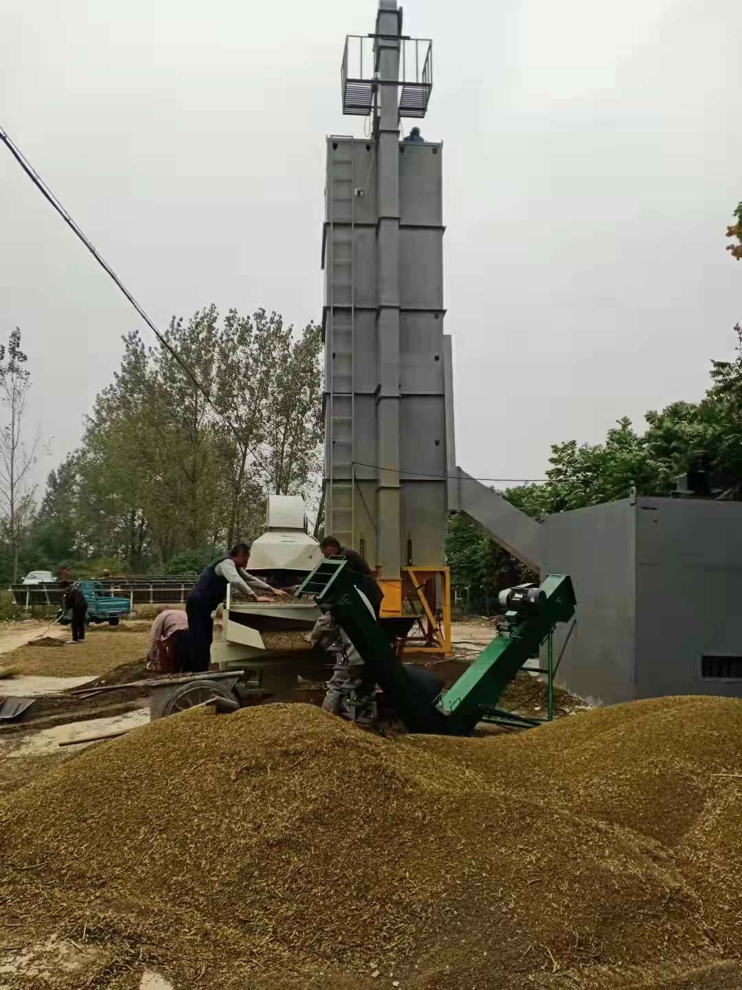粮食烘干机厂家：助力现代农业产业链高效运转
