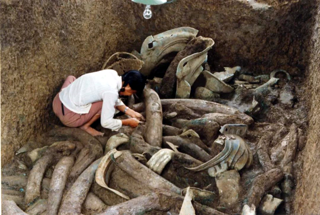 三星堆重启挖掘,为何当年挖到一半就停了?考古团队:看挖到啥了