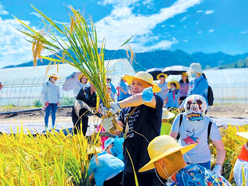 擘画美丽乡村新画卷—张湾区推进巩固脱贫攻坚成果同乡村振兴有效