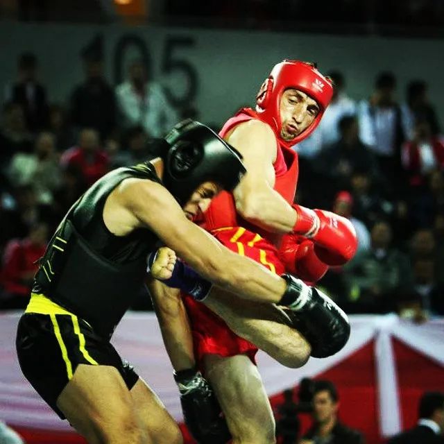 李景亮vs穆斯里穆,谁才是ufc散打一哥?
