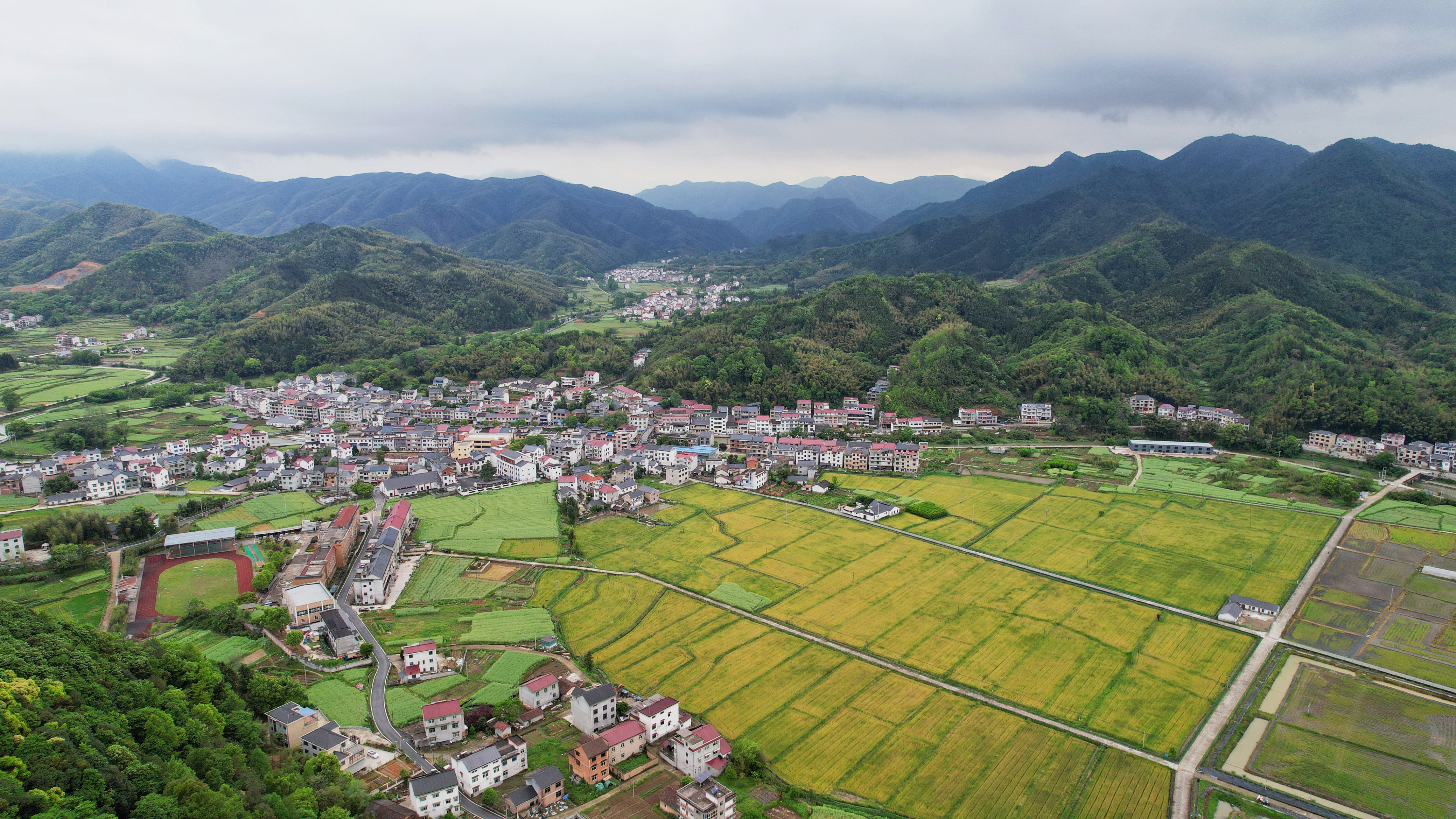 杭州建德真的太寶藏,風景清麗,物產豐富,倒篤菜是舌尖上的非遺