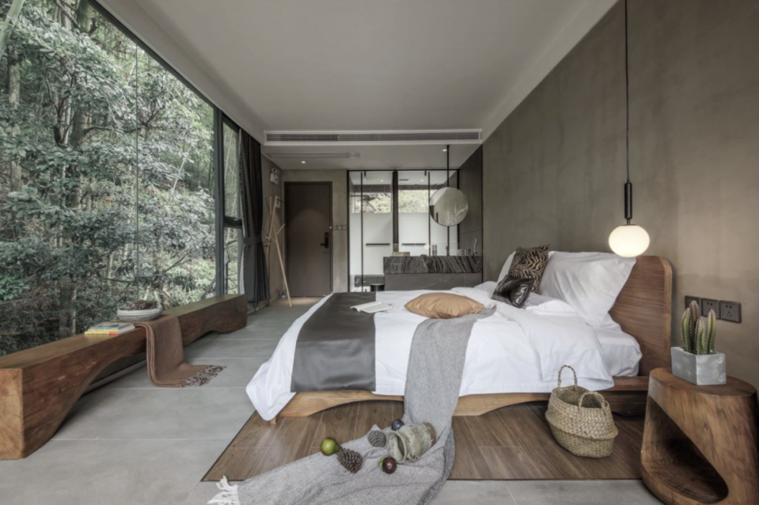 园景房巨大的落地窗设计 让阳光洒满各个角落 躺在床上毫不费力地