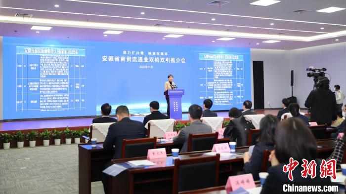 安徽商贸流通业双招双引推介会现场签约总额逾百亿元