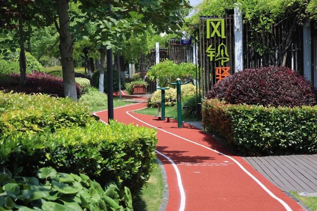 苏州河畔好去处!风铃绿地市民健身步道焕新升级