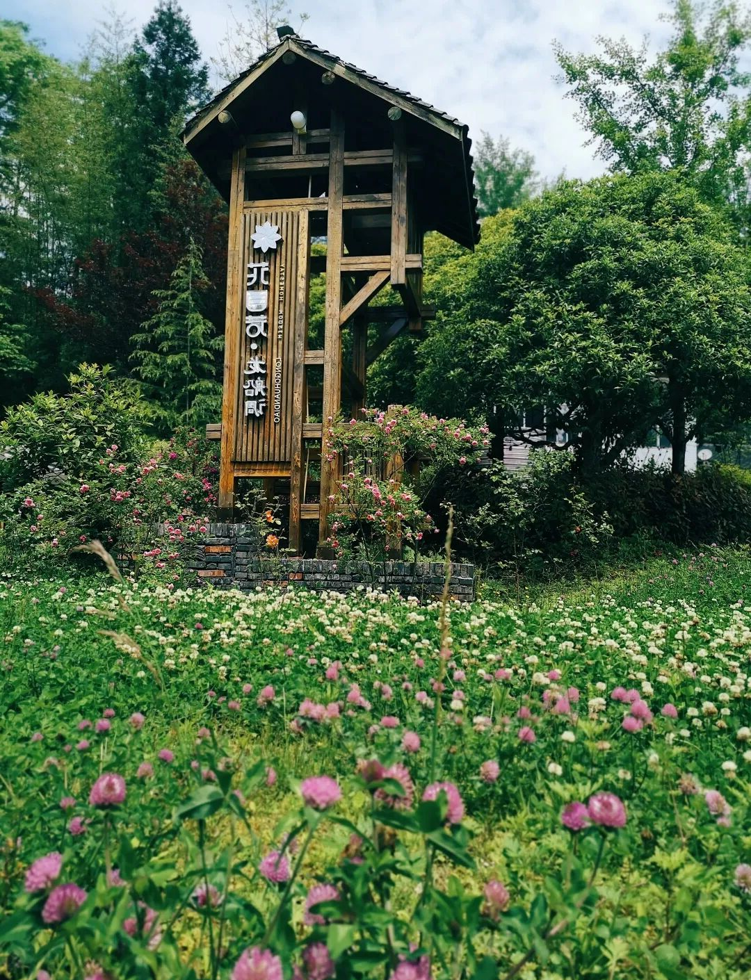 利川白鹊山与野猫水:自然与人文的诗意民宿体验