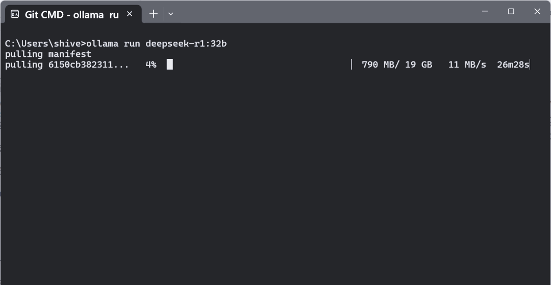 DeepSeek-R1 本地部署全攻略，让你轻松畅享 AI 服务！插图4