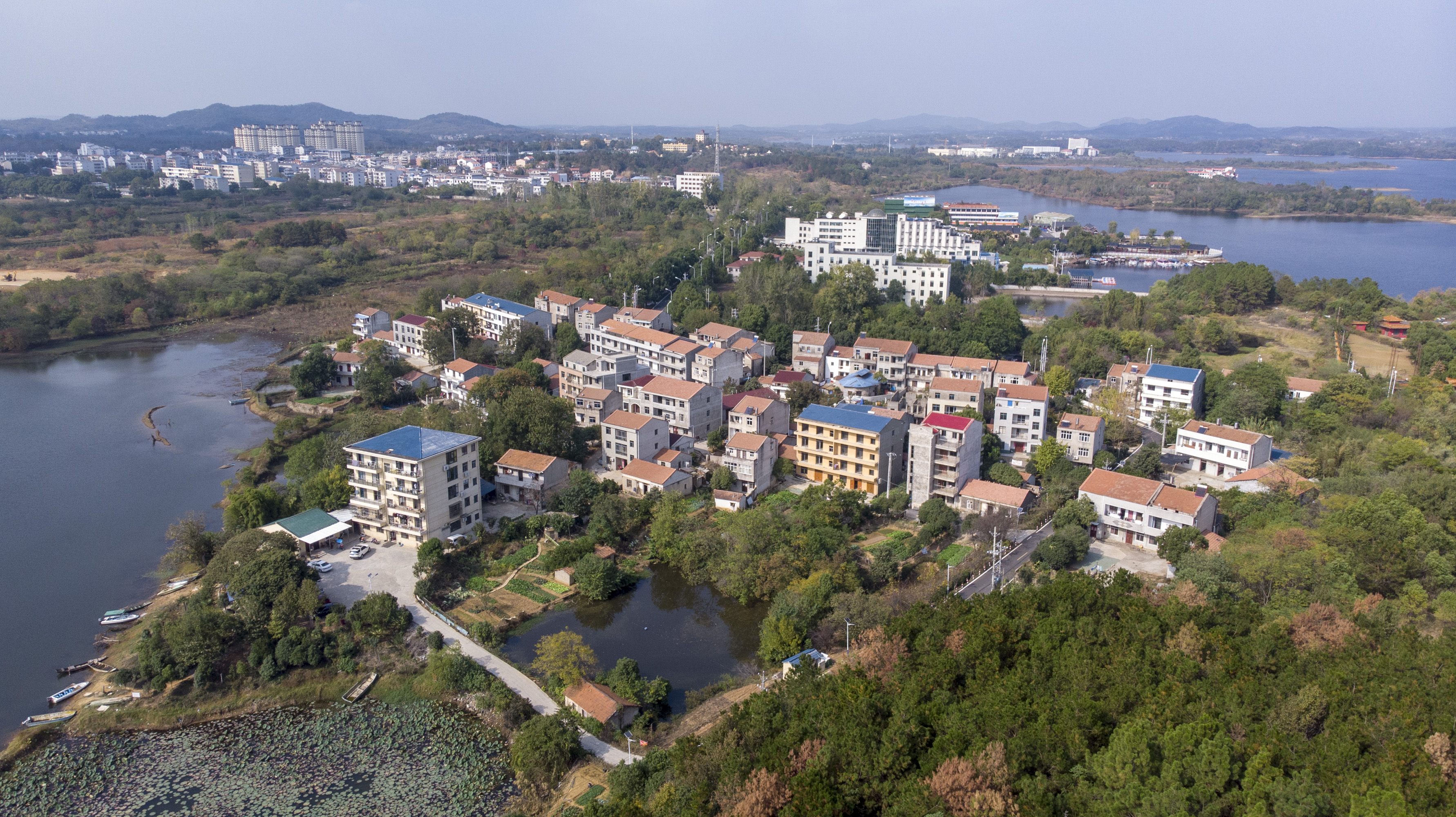新华全媒 |武汉黄陂:"空心村"变身"网红村"