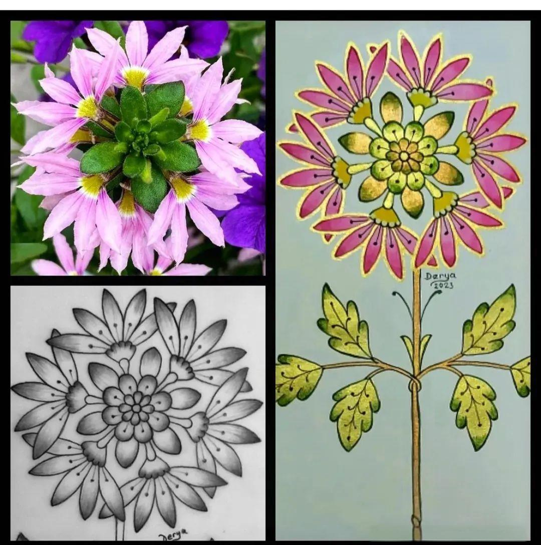 众多来自大自然的精美花草图案