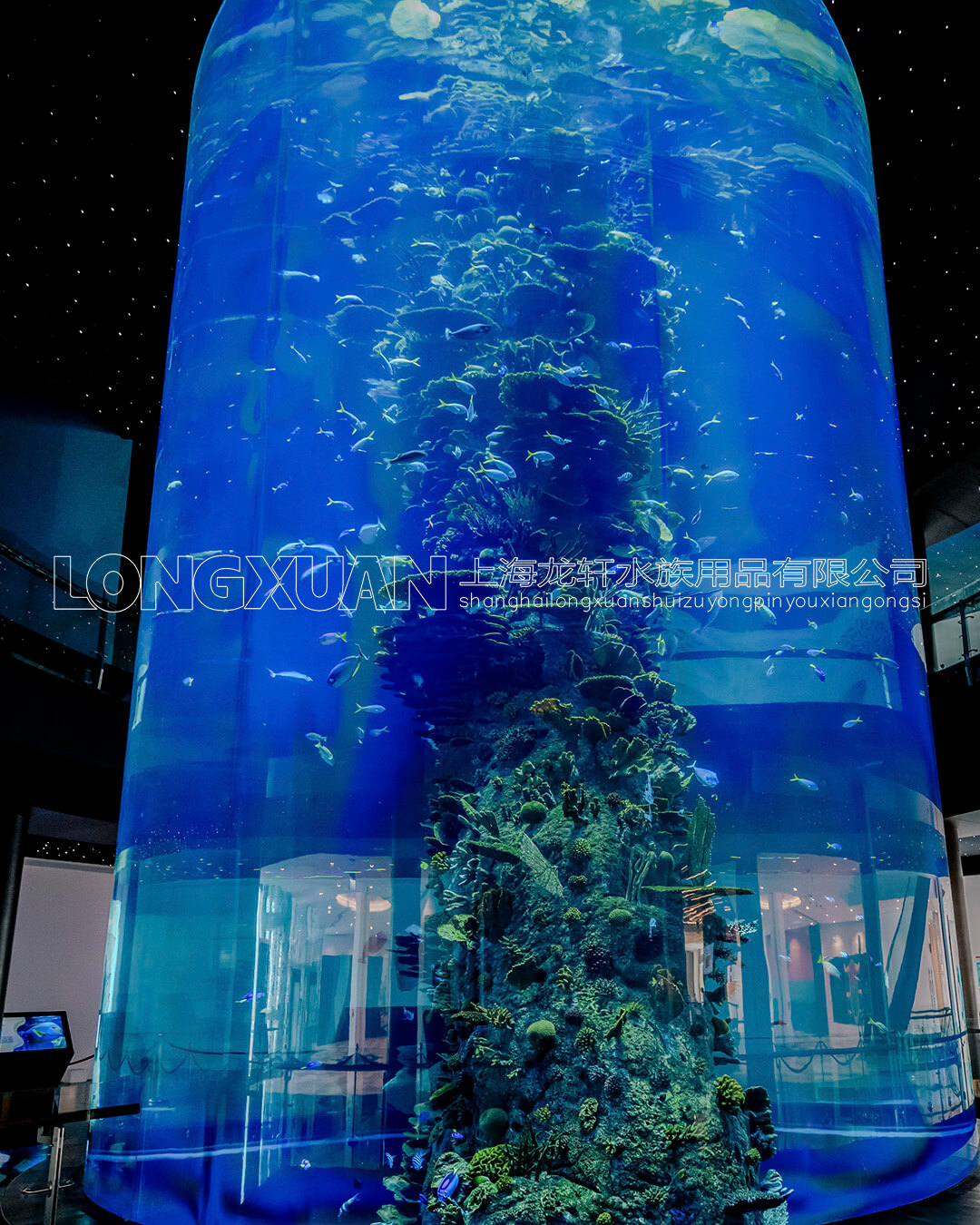 亚克力鱼缸是否会变形或变色?