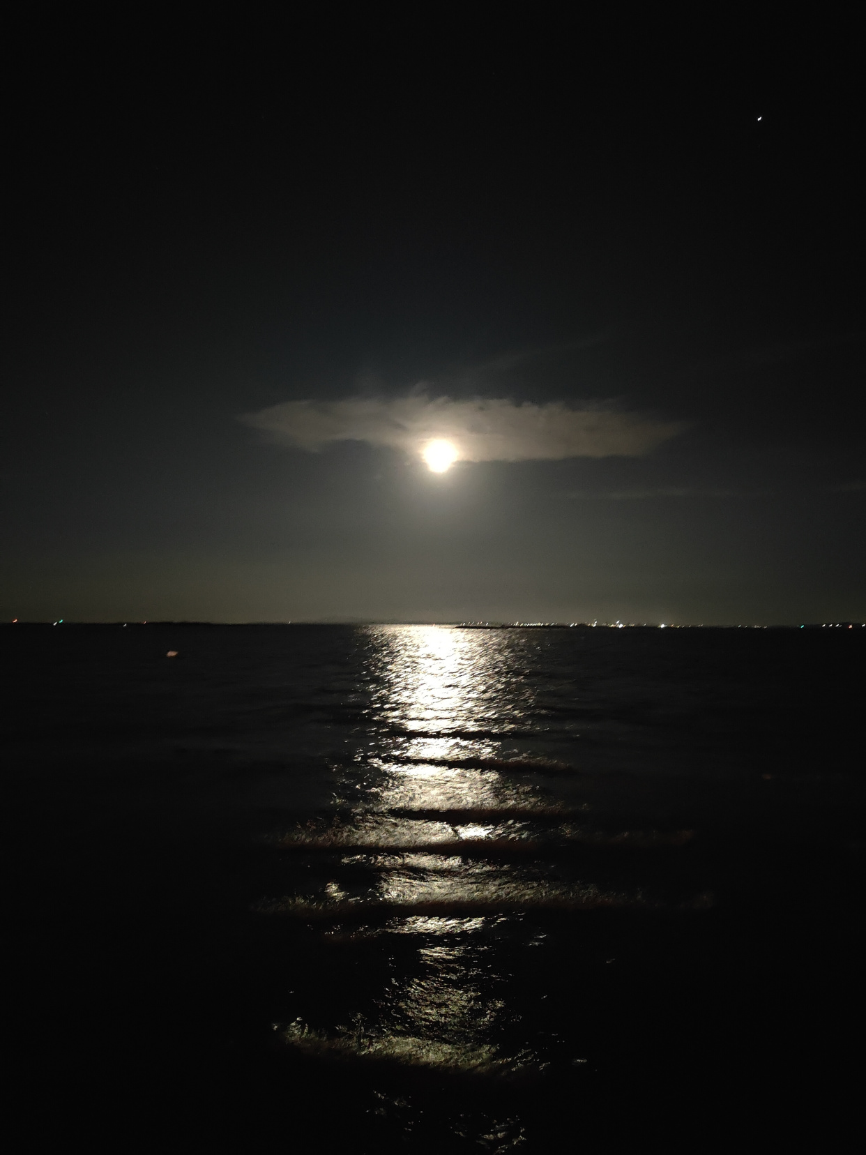 夜幕下的厦门海边,宁静惬意