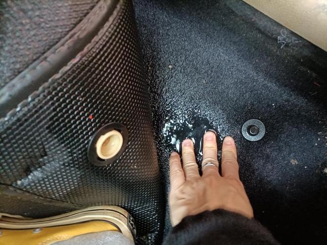 汽车进水拆地毯清洗要多少钱