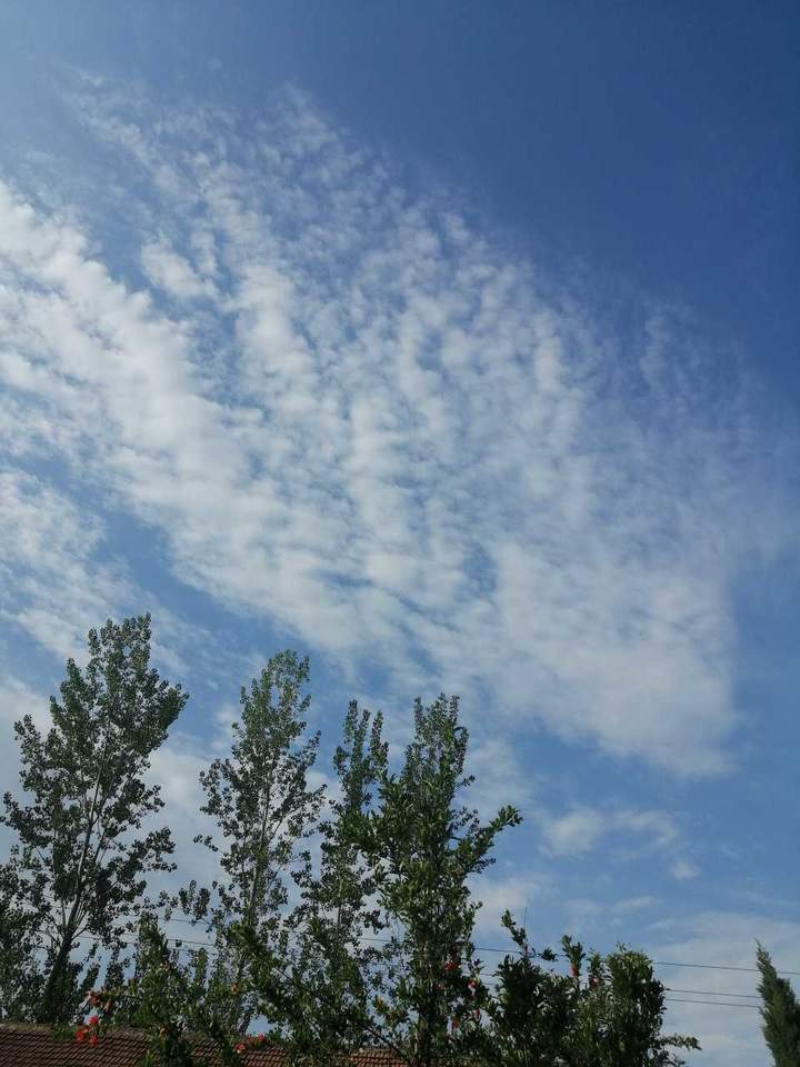 飘在天上的日子(下水文)