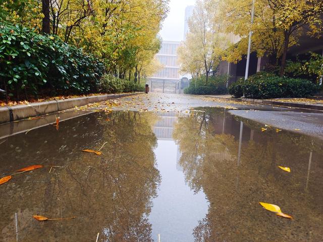 冷风冷雨图片