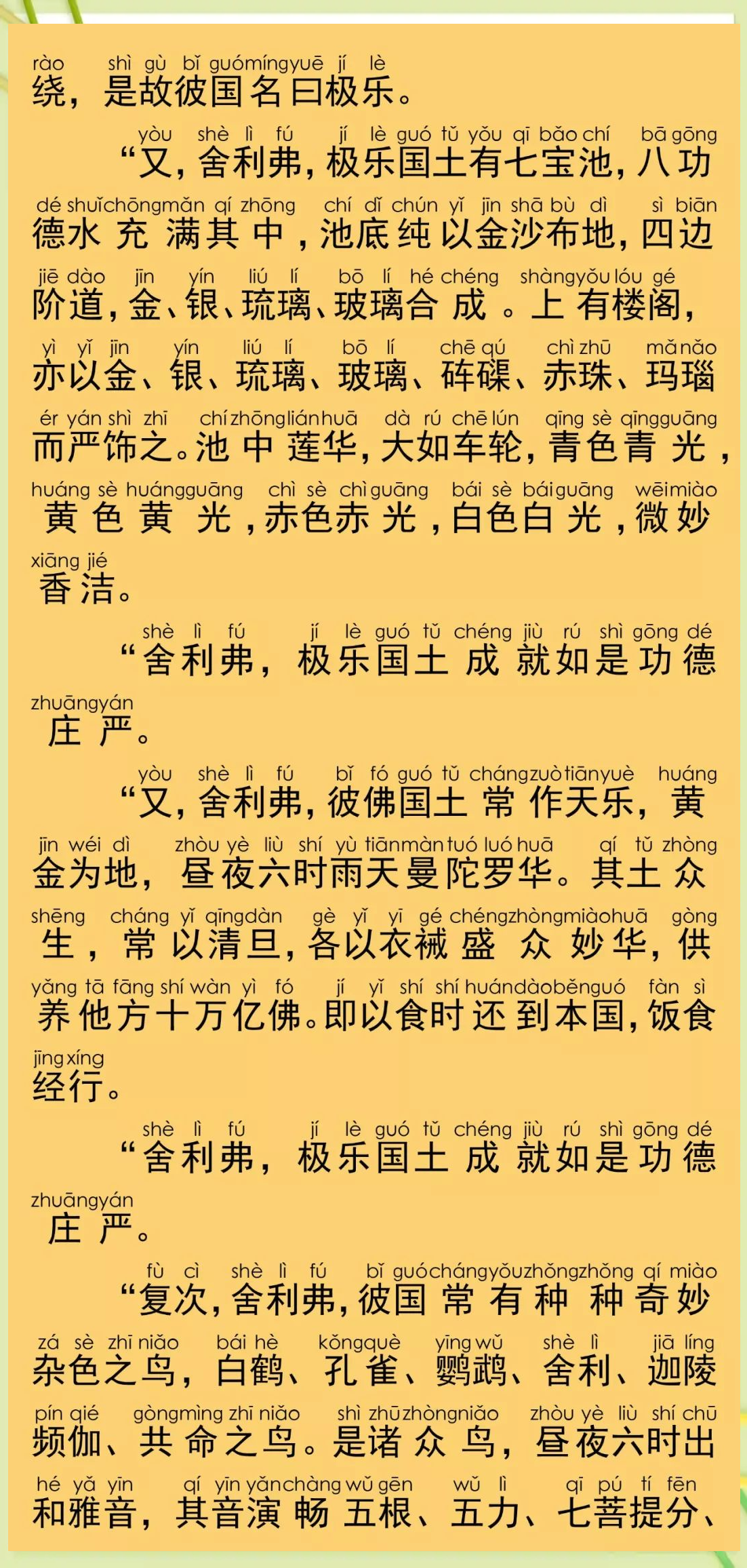 佛说阿弥陀经超度-佛说阿弥陀经道客巴巴全文