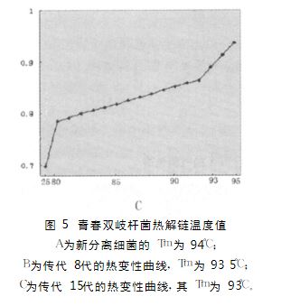 肠道青春双歧杆菌体外传代稳定性研究