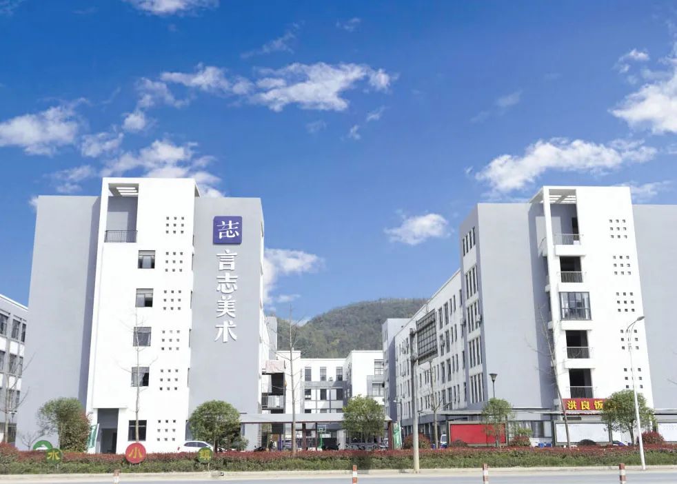 填志愿前必看|浙江教育考试院权威解答艺术类志愿填报及投档录取