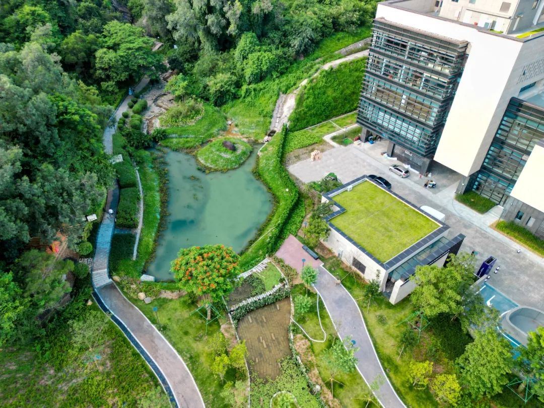 艺术感满满!珠海市古元美术馆新馆盛大开幕